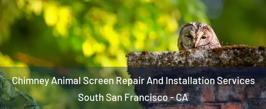  Chimney Animal Screen Repair And Installation Services South San Francisco - CA